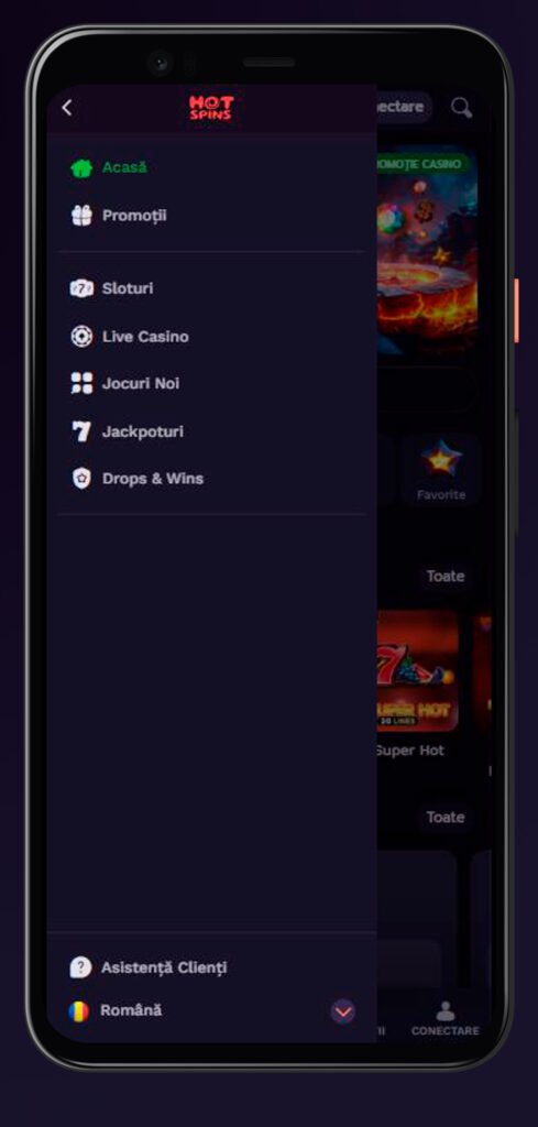 meniu în aplicații hotspins